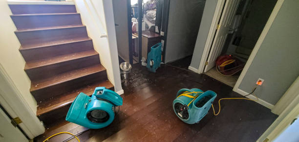 Best Ceiling water damage repair  in Utqiagvik, AK
