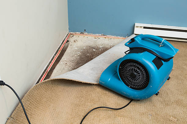 Best Commercial water damage restoration  in Utqiagvik, AK